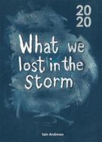 What We Lost In The Storm null Book Cover