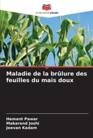 Maladie de la brûlure des feuilles du maïs doux 6205539926 Book Cover