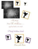 The Journey From The Wilderness, Part I: Healers and Angels In Our Midst 1546346694 Book Cover