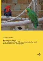 Gefangene Vogel 3956102320 Book Cover