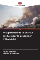 Récupération de la chaleur perdue pour la production d'électricité (French Edition) 6207577973 Book Cover