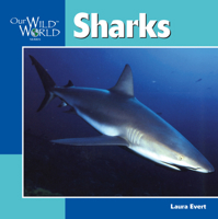 Sharks (Our Wild World) 1559717793 Book Cover