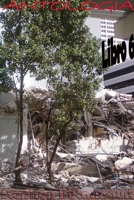 Antologia (Libro 6) 1365539563 Book Cover