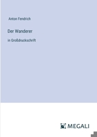Der Wanderer: in Großdruckschrift (German Edition) 3563281203 Book Cover