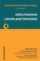 Justicia transicional y derecho penal internacional 9586655040 Book Cover