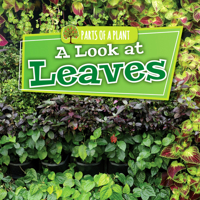 A Look at Leaves 1534533699 Book Cover