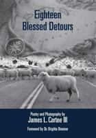 Eighteen Blessed Detours 0998060313 Book Cover