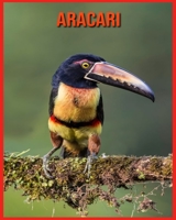 Aracari: Incredible Pictures and Fun Facts about Aracari B08W6QD7HN Book Cover