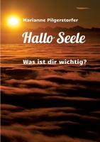 Hallo Seele: Was ist dir wichtig? (German Edition) 3384540999 Book Cover