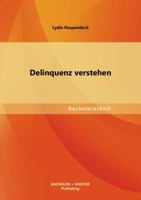 Delinquenz verstehen 3656153744 Book Cover
