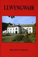 Llwyngwair and the Bowen family 1904323006 Book Cover