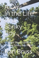 A Day In the Life of a Stinky Boy: Short Stories from a Young Stinky Boy's Life B085RQN4KL Book Cover