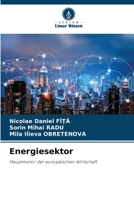 Energiesektor: Hauptmotor der europäischen Wirtschaft 6206110702 Book Cover