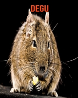 Degu: Schöne Bilder & Kinderbuch mit interessanten Fakten über Degu B095W6ZL3F Book Cover