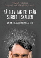 Så blev jag fri från surret i skallen: En antologi om sinnesfrid (Swedish Edition) 9179696902 Book Cover