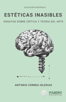 Estéticas inasibles: Ensayos sobre crítica y teoría del arte (Spanish Edition) 9874834196 Book Cover