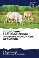 СОЦИАЛЬНО-ЭКОНОМИЧЕСКИ&# 6205747189 Book Cover