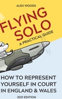 Flying Solo: How to Represent Yourself in Court in England and Wales 1716966175 Book Cover