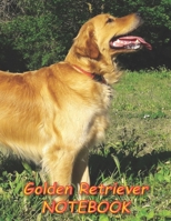 Golden Retriever NOTEBOOK: Dog Notebooks and Journals 110 pages (8.5x11) 1660526582 Book Cover
