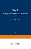 Kohle: Naturgeschichte Eines Rohstoffs 3642985211 Book Cover