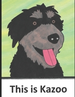 This is Kazoo B09NH3BC4S Book Cover