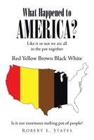 What Happened to America?: Like It or Not, We Are All in This Pot Together Red, Yellow, Brown, Black, White null Book Cover