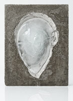 Tania Pérez Córdova: Generalization 1941366600 Book Cover