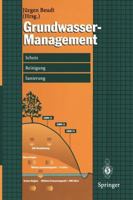 Grundwasser-Management: Schutz - Reinigung - Sanierung 3642645100 Book Cover