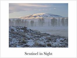 Sentinel in Sight 0615784356 Book Cover