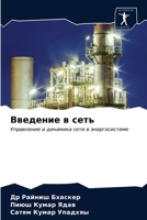 Введение в сеть: Управление и динамика сети в энергосистеме 6203532703 Book Cover