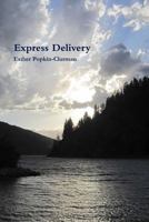 Express Delivery 0615799132 Book Cover