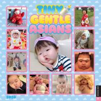 Tiny Gentle Asians 2020 Wall Calendar 0789337584 Book Cover