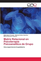 Matriz Relacional en Psicoterapia Psicoanalítica de Grupo: Una experiencia hospitalaria 6202243732 Book Cover