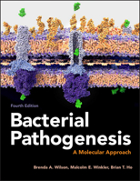 Bacterial Pathogenesis: A Molecular Approach 1555819400 Book Cover