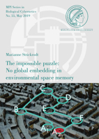 The Impossible Puzzle: No Global Embedding in Environmental Space Memory : No Global Embedding in Environmental Space Memory 3832549250 Book Cover