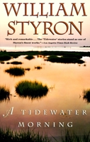 A Tidewater Morning 0679427422 Book Cover