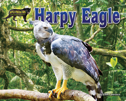 Harpy Eagle 1642808490 Book Cover