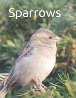 Sparrows: Senior reader study bible reading in extra-large print for memory care with colorful photos, reminiscence questions, and coloring activities 1792158254 Book Cover