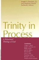 Trinity in Process: A Relational Theology of God 0826408788 Book Cover