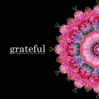 Grateful: a simple gratitude journal 1087931622 Book Cover