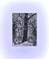 Woods 1940881625 Book Cover