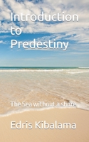 Introduction to Predestiny: The Sea without a shore B09VWMGGTS Book Cover