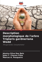 Description morphologique de l'arbre Triplaris gardneriana Wedd (French Edition) 6207743768 Book Cover