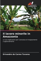 Il lavoro minorile in Amazzonia (Italian Edition) 6203640484 Book Cover