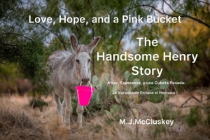 Love, Hope, and a Pink Bucket: The Handsome Henry Story 1949033899 Book Cover
