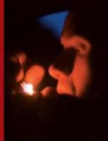 Nick Crowe & Ian Rawlinson (Art Catalogue) 0901673625 Book Cover