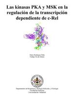 Las Kinasas Pka Y Msk En La Regulaci�n de la Transcripci�n Dependiente de C-Rel 1502715228 Book Cover