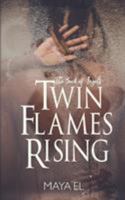 The Book of Angels: Twin Flames Rising (Volume 1) 197629357X Book Cover