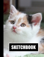 Sketchbook: Cute Kitten Cat Cover Design | White Paper | 120 Blank Unlined Pages | 8.5" X 11" | Matte Finished Soft Cover 1713244489 Book Cover