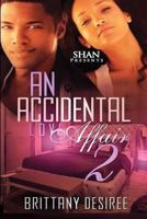 An Accidental Love Affair 2 1523292520 Book Cover